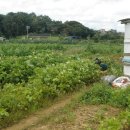 구월1동-4 이미지