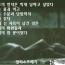 알파오메가 이미지