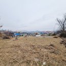 옥천랜드공인중개사사무소 이미지