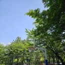 대촌공원 농구장 이미지