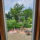 양평별하나톡 수영장가족독채펜션 이미지