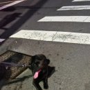 배떡 청량리점 | 250625-250704 제주 일기