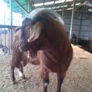 바다농장 이미지