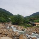 대한덴트