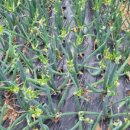 (주)삼동 이미지