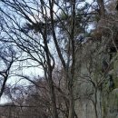 불심약수터 이미지