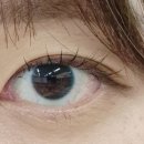 천리안안경 이미지