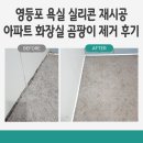 궁동 조광빌라 뒤 - 2311 | 영등포 욕실 실리콘 재시공 아파트 화장실 곰팡이 제거 후기