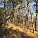 두산양지 이미지