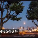 예송요양병원 네이버블로그