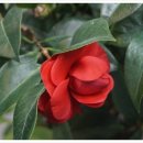 황금나무공인중개사사무소 이미지