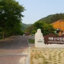 RE카페