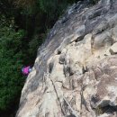 투페이스 이미지