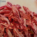 육심쟁이 이미지