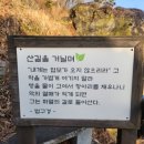 동혈사 삼층석탑 이미지