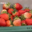 인범농장 네이버블로그