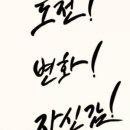 대덕태권도 이미지