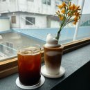 모디스트