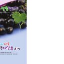 슈퍼베리 이미지