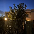 stay AHHA | 제주 한림 수영장 숙소, 감성 에어비앤비 스테이아하(stay AHHA) 02호 1박 후기