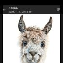 동진세차장 이미지