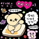 춘천유정펜션 | 가평 ➪ 연남동 2