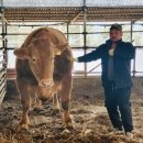 삼성한우농장 이미지