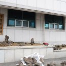 청주시농업기술센터 | 야외 테라스 이끼 조경 청주시농업기술센터 정원 조성