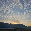 사랑마실 이미지