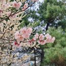 황새울공원 이미지