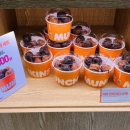 던킨 경산사동점 이미지