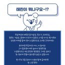 맛있개냥 | 강아지영양간식 &lt;맛있개냥&gt; 체험 후기