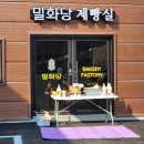 홍천신상카페 밀화당 메뉴 오픈 방문 솔직후기