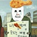 치킨나라호프마을