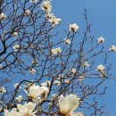 산골공작소 이미지