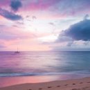 바쁜하루 이미지