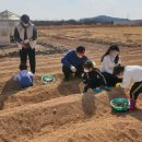 순천시 "가족과 함께 도시농부가 돼요" - 신대도시텃밭 교육장 일원(해룡면 신대리 2136) - 이미지