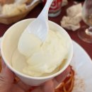 로마문구 | [로마근교/3일차] 남부 투어(폼페이/소렌토/아말피/포지타노) 여행코스 추천