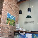 에버그린 펫 클리닉 | [에버그린펫클리닉] 익산 동물병원 배꼽탈장수술 &amp; 중성화수술후기