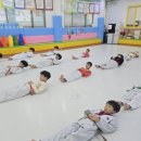 챔프태권도장 이미지