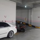 신 드림모터스 이미지