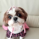 전이랑땡이랑