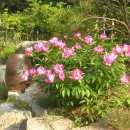 다산농원 이미지