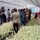 김명복농장 이미지