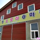 거창 오로라 승마장 이미지