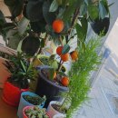 상봉1동주민센터 이미지