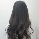 로이드밤 전주객사점
