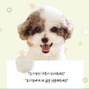 연제종합동물병원 이미지