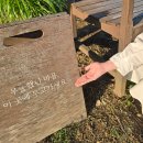 언더스탠드에비뉴 아트스탠드 | 변우석 데뷔 9주년 사진전(서울숲 언더스탠드 에비뉴 아트스탠드 갤러리) / 서울숲 변우석 벤치 투어