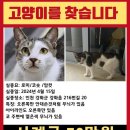 보나토헤어